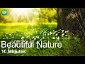 Beautiful Nature Video | 10 Minutes | Relaxing Music | Meditation | Amazing Scenes | Positive Energy
