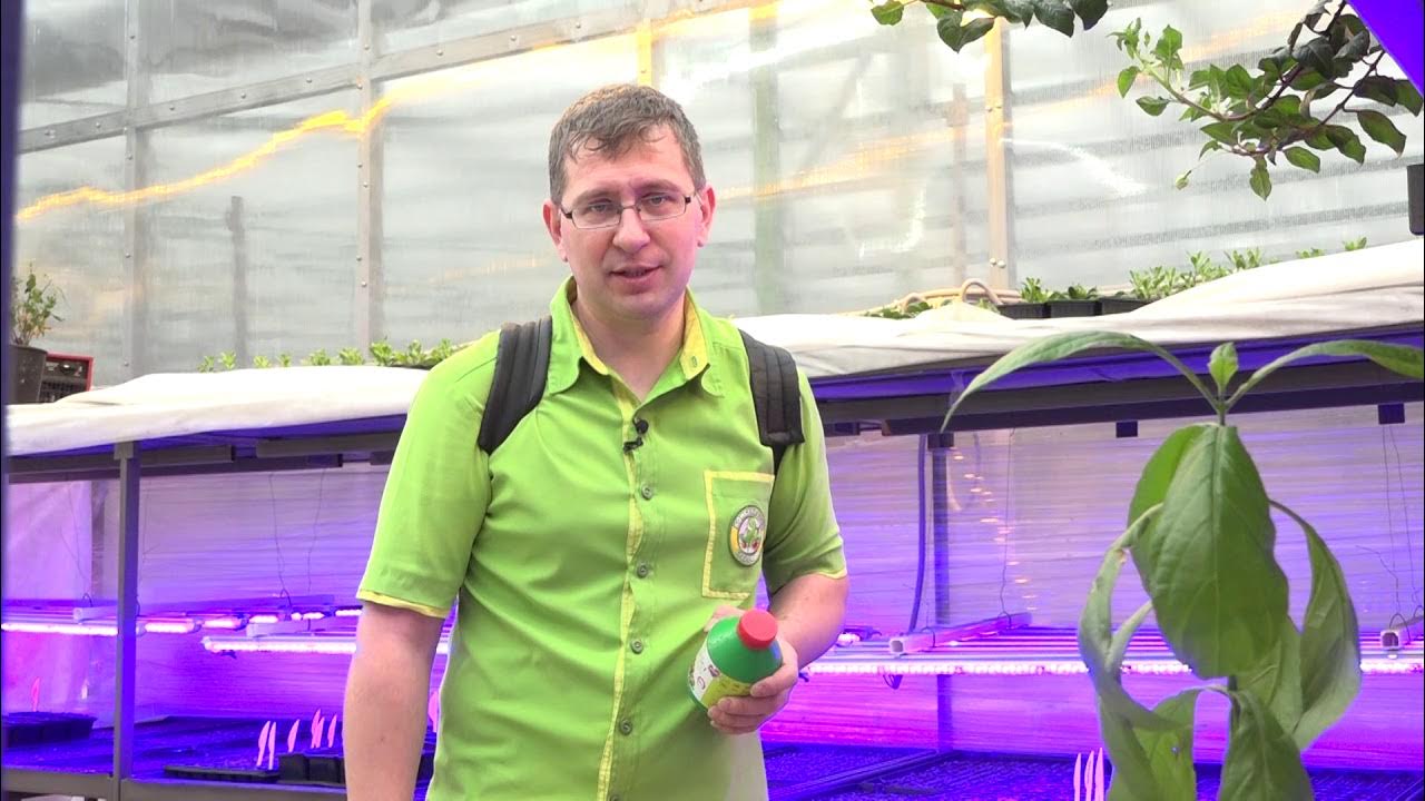 Кристиан линднер с женой свадьба. Консультант 2021. Школа консультанта. Консультант 2021. Консультант 2021.