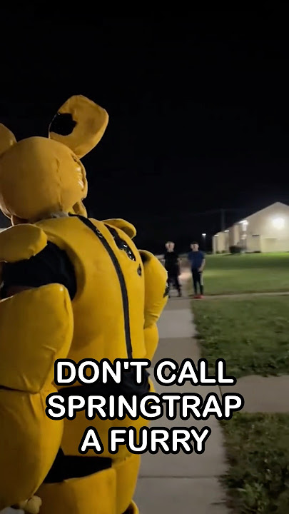 DON'T CALL SPRINGTRAP A FURRY | FNaF 2 Movie MEME