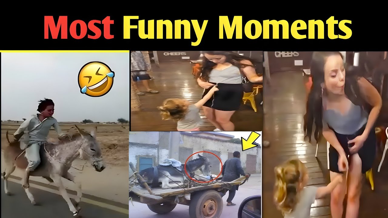 Most Funny Moments caught on camera 🤣🤣 - YouTube