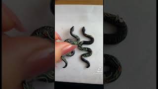 Floral snake earrings! Drop date soon! Pollyandfuzz! #clayearrings #clayart #polymerclay #snakes