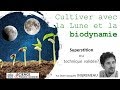 Cultiver avec la lune et la biodynamie  superstition ou technique valide