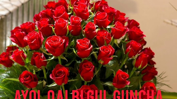 Chiroyli dukkakli fotosurat