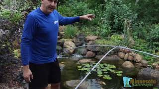 How do I keep the leaves out of my koi pond in fall? by Team MnWaterscapes 164 views 1 year ago 5 minutes, 46 seconds