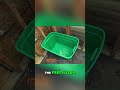 DIY Hydroponics Setup: Simple PVC Pipe System Explained #shorts