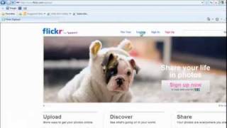 Explore Flickr