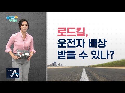 [올바른 우리말] 보도에서 자주 접하는 표현 &amp;#39;로드킬&amp;#39;의 정확한 뜻은?