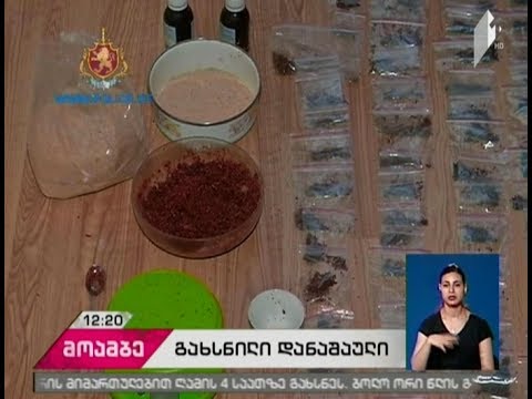 ნარკოდანაშაულისთვის თბილისში 2 პირი დააკავეს