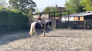 E-riders Intro 1a Online Dressage Test - May 2023