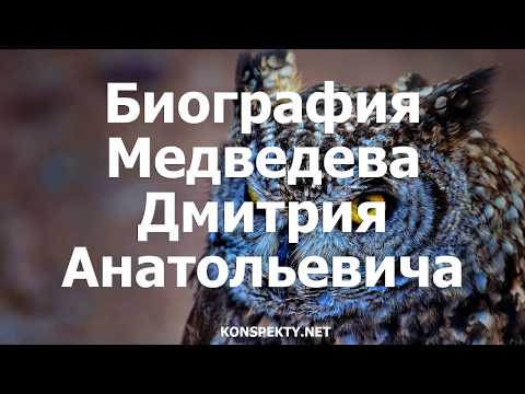 Биография Медведева Дмитрия Анатольевича