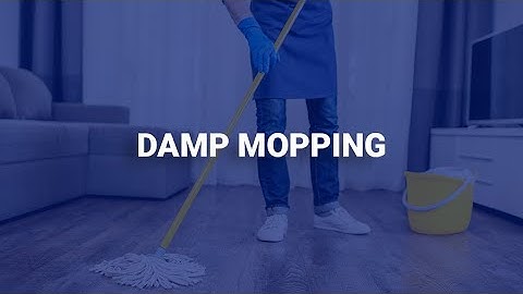 Damp Mopping | Human Focus International Ltd