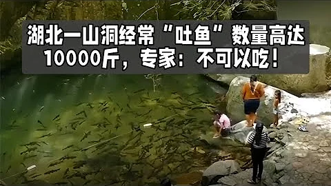 湖北一山洞經常「吐魚」，數量高達10000斤，專家：不可以吃！ - 天天要聞