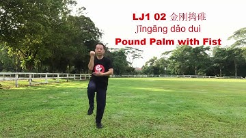LJ1 02 金刚捣碓 Pound Palm with Fist   Chen Style Tai Chi Traditional Form Set One