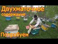 Двухматочное содержание пчёл