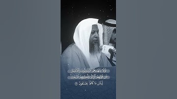 الشيخ مُحمَّد أيوب.سورة المائدة الآية ٦٣ . #اكسبلور #قرآن #محمد_أيوب