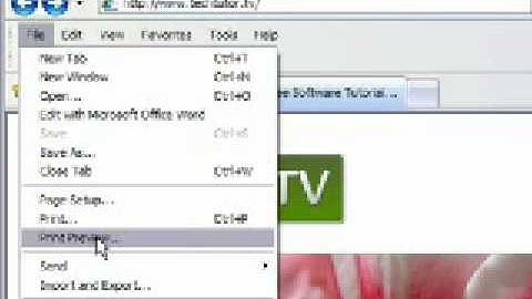 Change Page Orientation in Internet Explorer 7