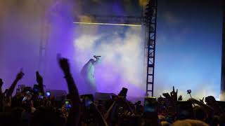 Boredom - Tyler , The Creator (Live at Camp Flog Gnaw 2017)