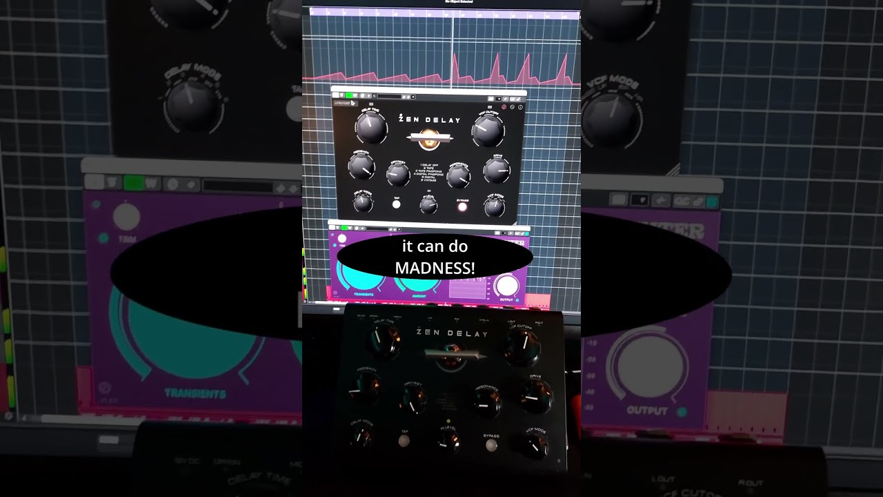 DJ機材 NINJA TUNE & ERICA SYNTHS / ZEN DELAY Erica Synths Zen Delay Stereo Delay and Filter - Perfect Circuit