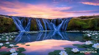 💫 🌸🌊 Reflective Pools, Sky's Embrace gardenia flower
