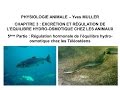 Chapitre 3-5 Régulation hormonale de l’équilibre hydro-osmotique chez les animaux