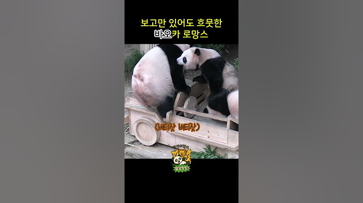 보고만 있어도 흐뭇한 바오카 로망스