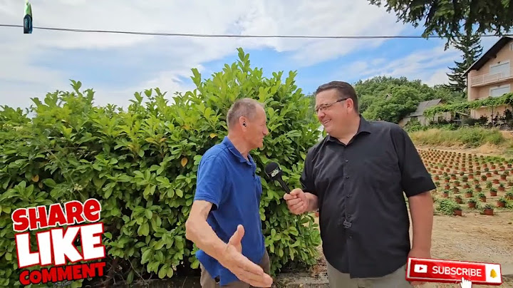 U NJEMAČKOJ SE ŠPARALO A OVAMO SE RASIPALO, OTAC NIJE BIO ZA NJU A MAJKA JESTE