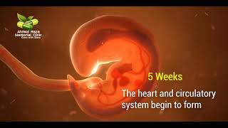 Welcome to the life || The beginning of life || ARMC || New Vedio || Must Watch || 2021