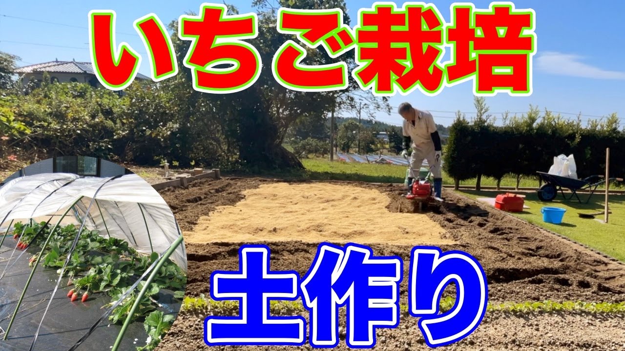 いよいよイチゴを定植する為の土作りをして行きます。〜サラリーマンでも出来るいちご栽培シリーズ〜