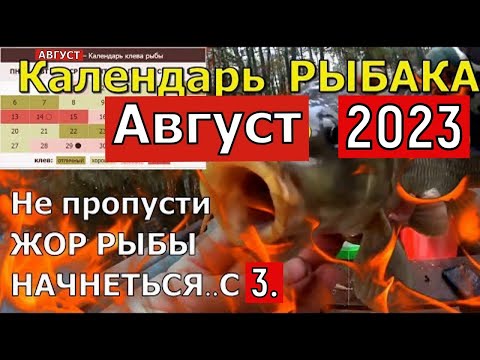 Календарь рыбака на Август 2023 Лунный календарь клева Август 2023  Прогноз клева рыбы на Август