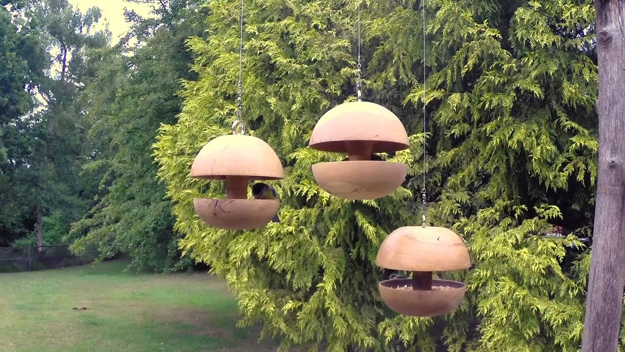 Natural Wood Company Oak Bird Feeder Sample Youtube
