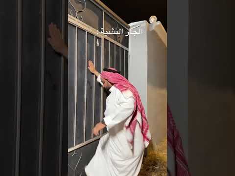 الجار النشبه