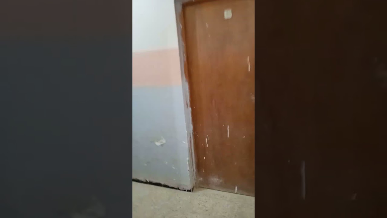 تفاصيل عن أرخص مرقد في ورڨلة