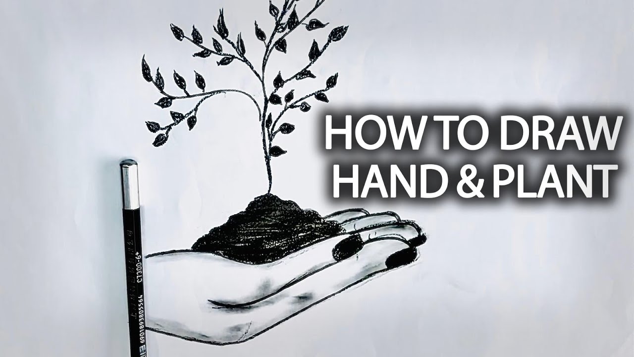 Hand Holding a Plant Drawing | Easy Nature Sketch