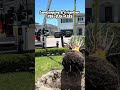 Quiere darle valor a tu patio .  Jardín,  propiedad y a tu trabajo ?   Aquí está la solución