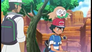 Rowlet fell asleep next to a LEGENDARY π