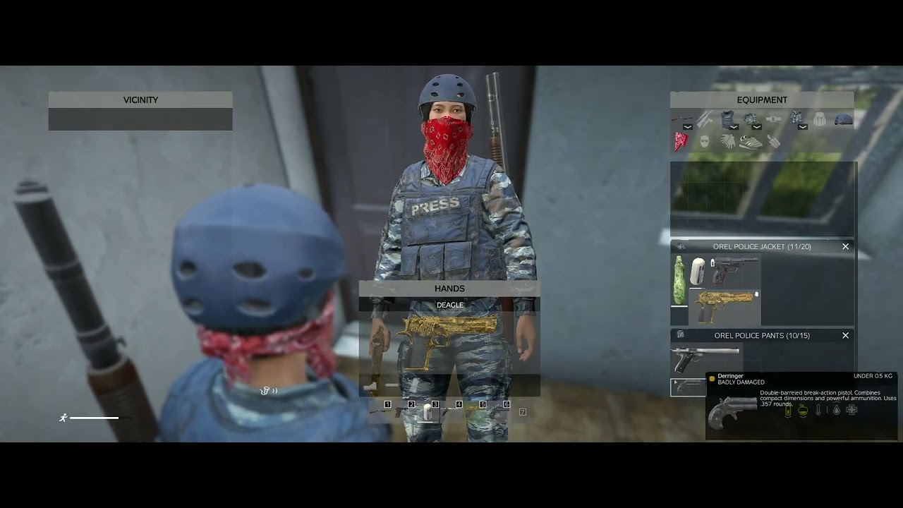 DayZ Only Pistol House With Gold Deagle