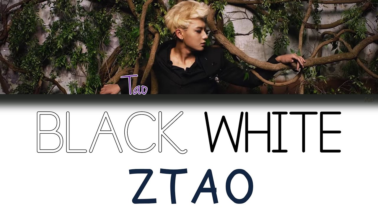 ZTAO     Black White AB  CHNPINENG  Color Coded Lyrics 