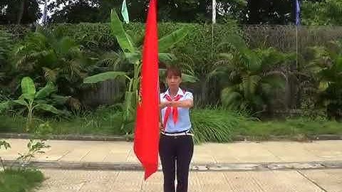 Nghi thức Đội TNTP Hồ Chí Minh: Các yêu cầu đối với đội viên