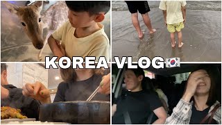 vlog🇰🇷:контактный зоопарк в Корее🫏/плюс одна фобия😂/снова на море/корейский ресторан🥘/korea vlog