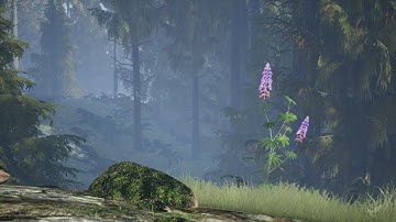 3D Layout/Set Dressing Portfolio