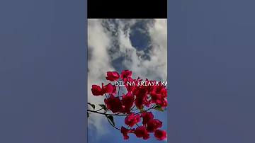S Hiba Song Trending Peace Song Nature Love Music Amina Sohail Diaries 
