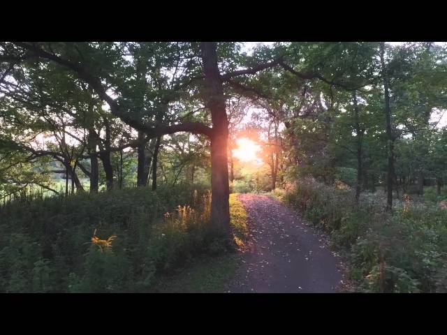 Summer In The Suburbs - DJI Phantom 3 Footage