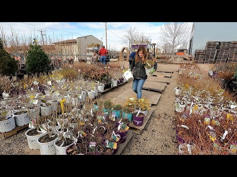 Unloading Over 3000 Plants at the Garden Center! 😱🌿🙌 // Garden Answer