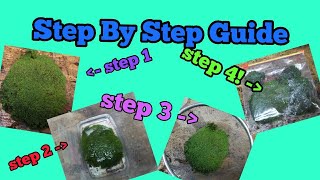 How to Sanitize and debug wild moss? : r/Moss