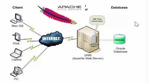 ทำความรู้จัก Software web server แบบง่ายๆ