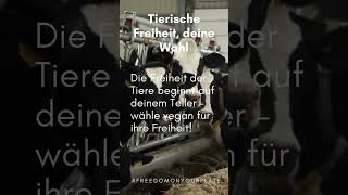 Tierische Freiheit, deine Wahl