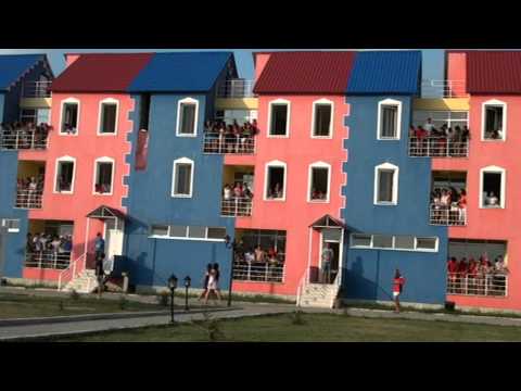 ჩიჩიკორე