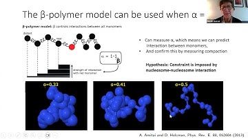 Susan Gasser - Chromatin and Nucleosome Density: How DNA Damage Response Alters Chromatin Dynamics