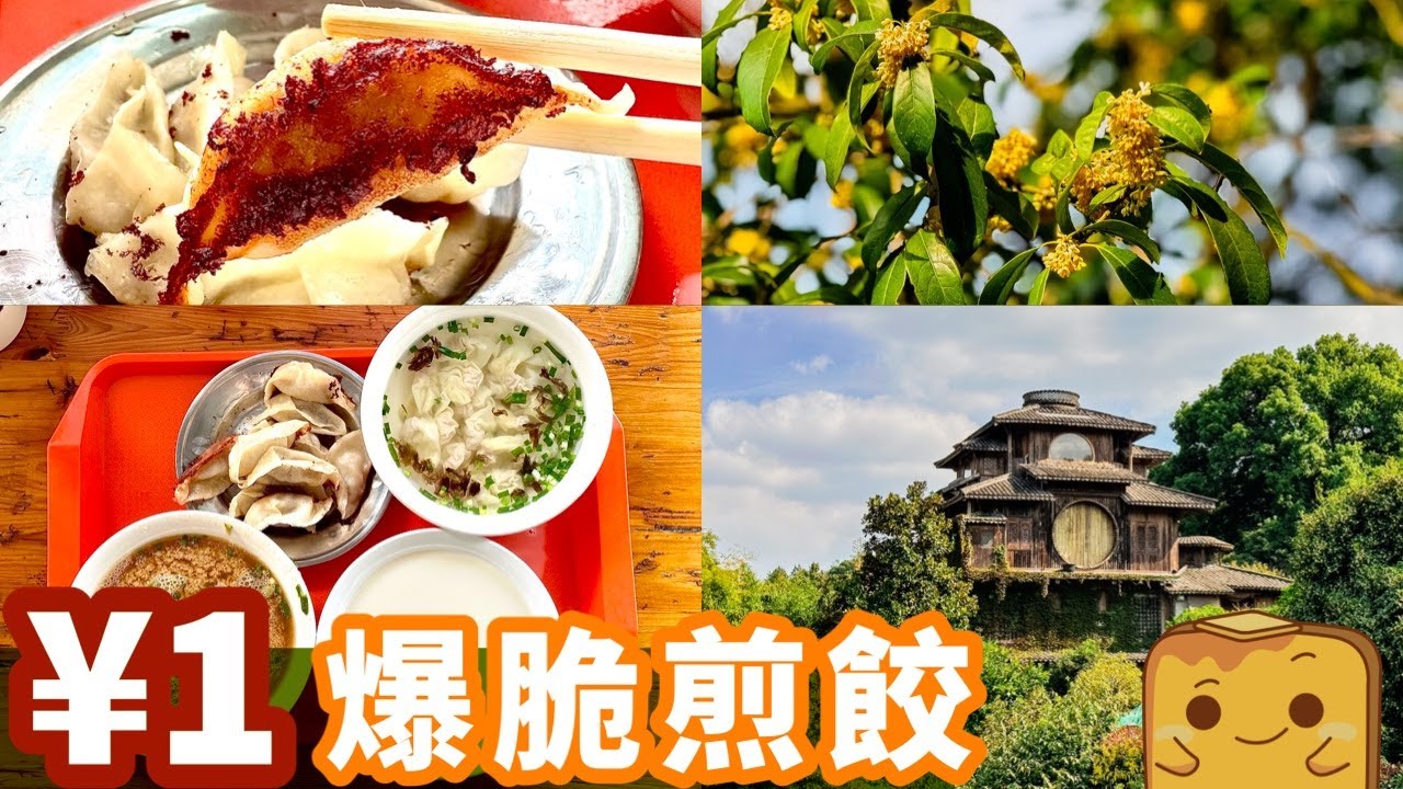 [偽中產遊杭州] 激抵杭州早餐！¥1隻爆脆煎餃 ¥6十幾隻雲吞 ¥2大大碗足夠鹹豆漿！去滿覺隴村聞「桂花雨」！