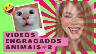 Videos Engraçados Com Animais Fofos, Parte-2